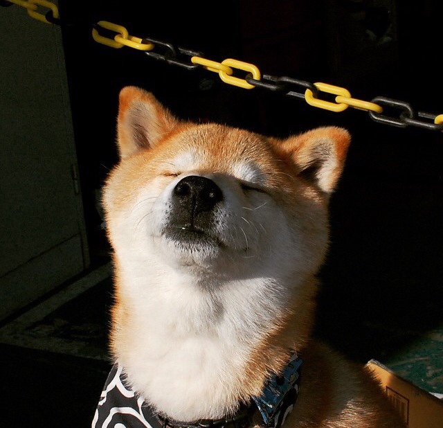 唯一性的见证,鹈鹕稳拿马刺,塔图姆总决赛接管比赛