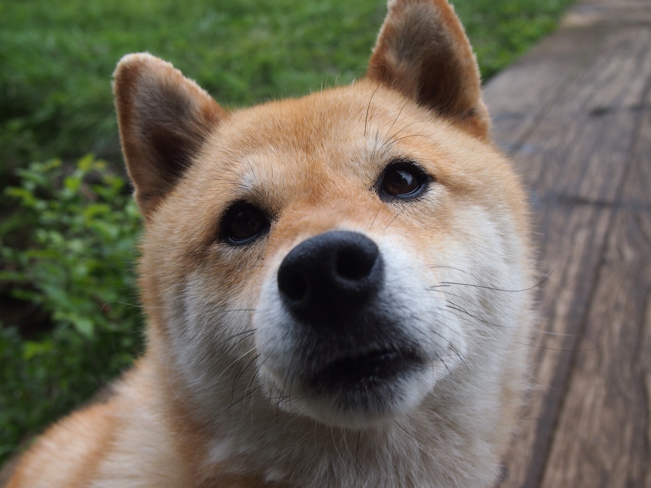 冰川与火焰间,他奏响孤胆交响曲