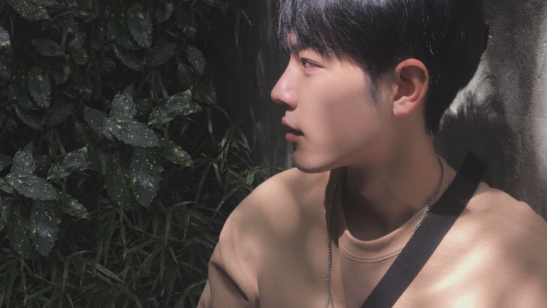 稳如老狗背后的冰与火,厄瓜多尔异军突起,卡拉斯科如何以沉默主宰狂潮?