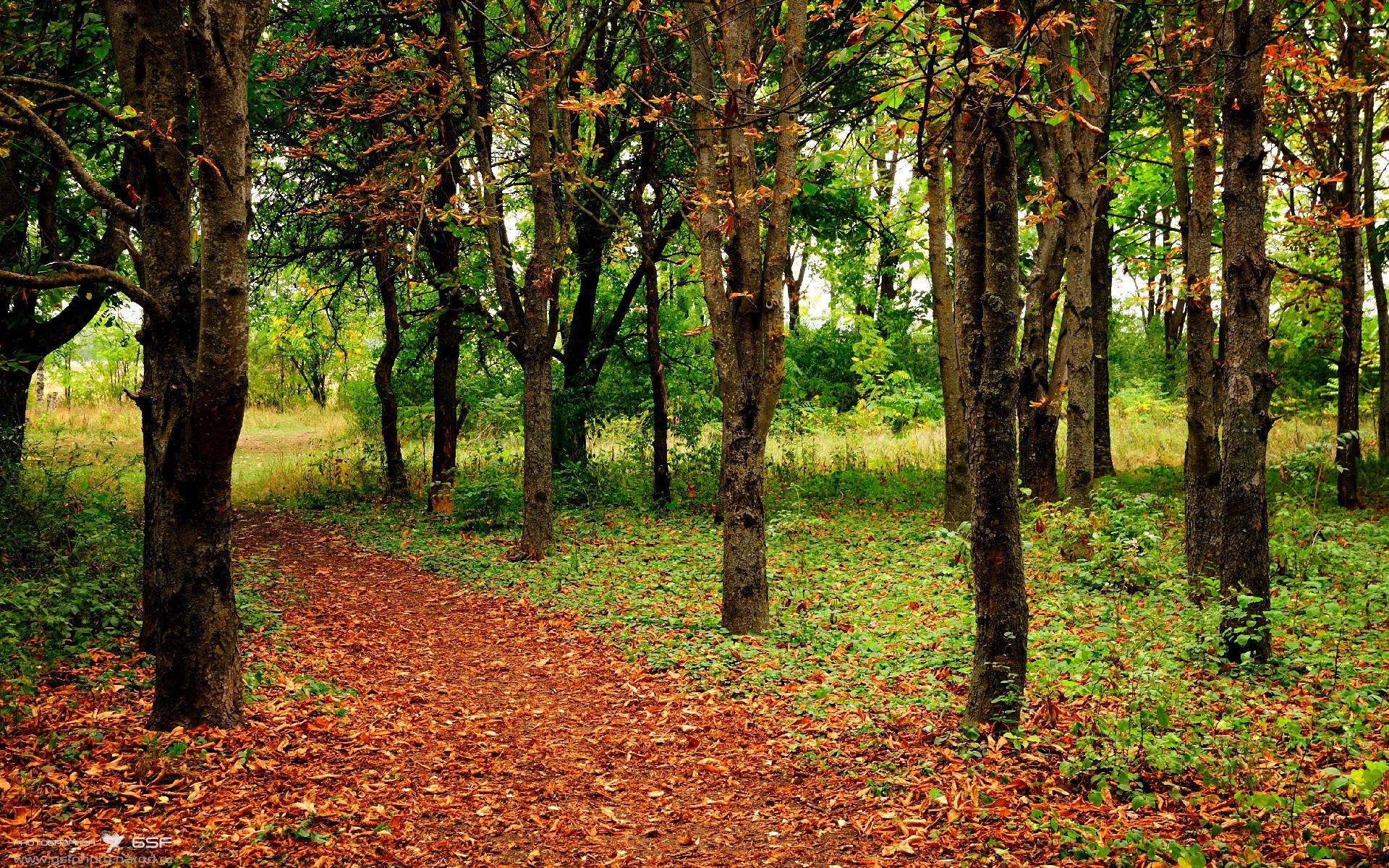 抢七48分钟战场,莫兰特,那个将唯一性刻入基因的破壁者