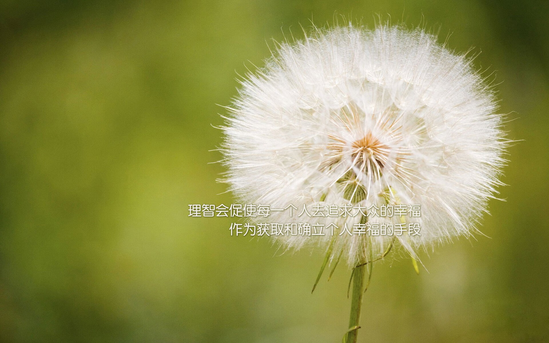 胜负之外,当NBA战术博弈遇上欧洲杯铁血意志—体育的宏大叙事