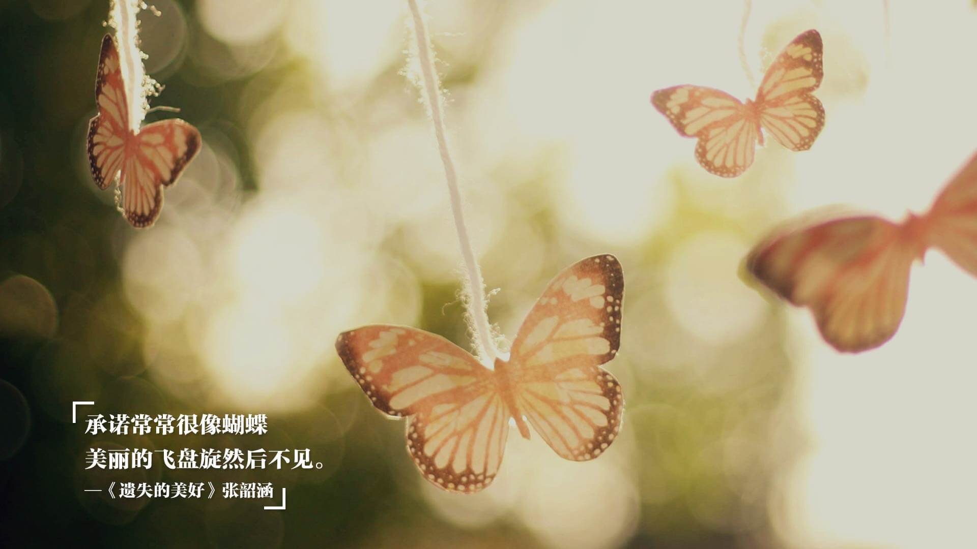 开云sport-时间的齿轮，瑞士用精密节奏掌控阿尔及利亚，穆勒一锤定音