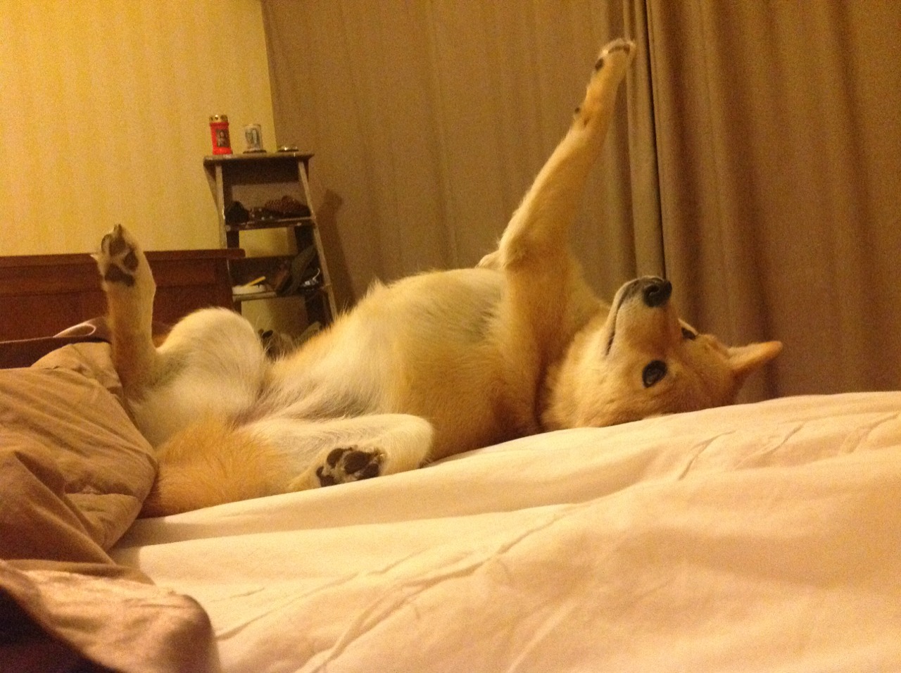 淬火之夜，当麦迪逊的坚韧遇见伊斯坦布尔的星辰